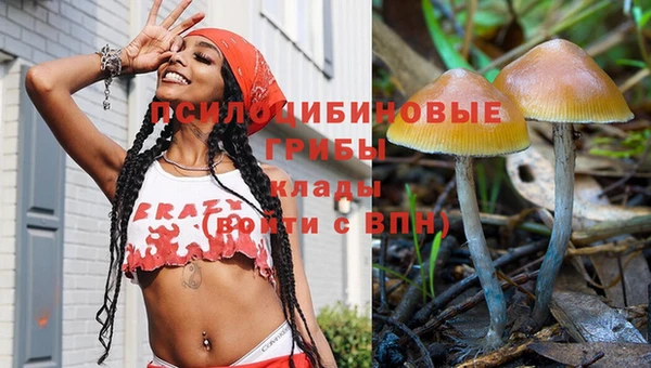 mdpv Коряжма